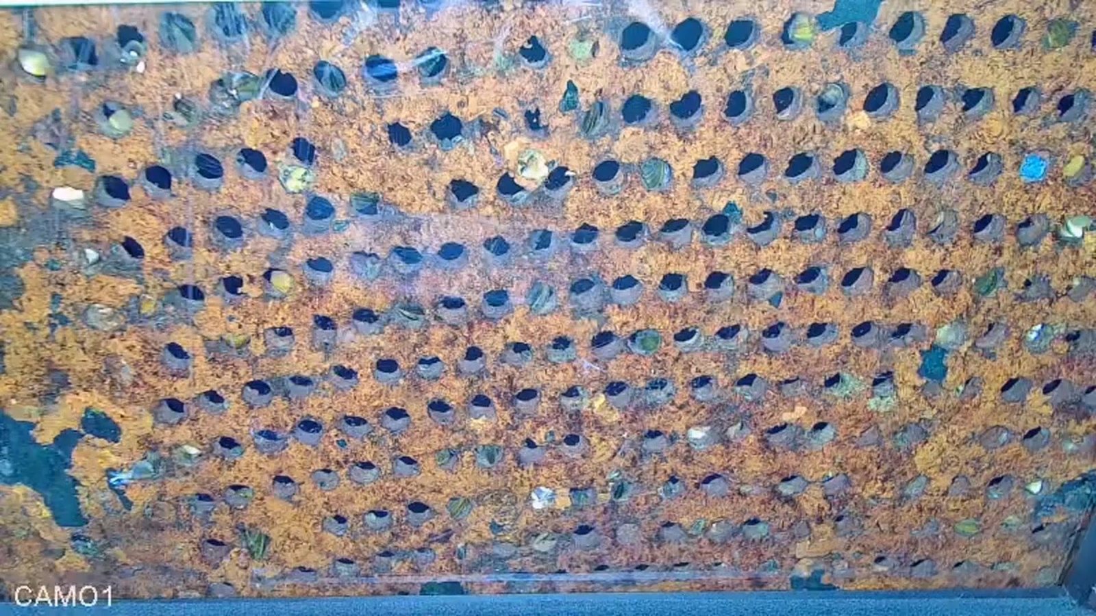 船体外板水下检测影像